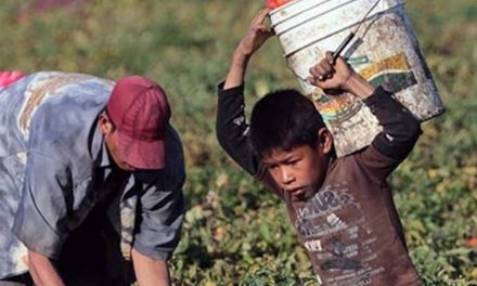 Buscan prevenir el trabajo infantil en Coahuila