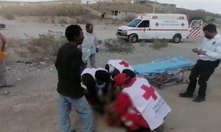 Atropellan a niño en la carretera de General Cepeda