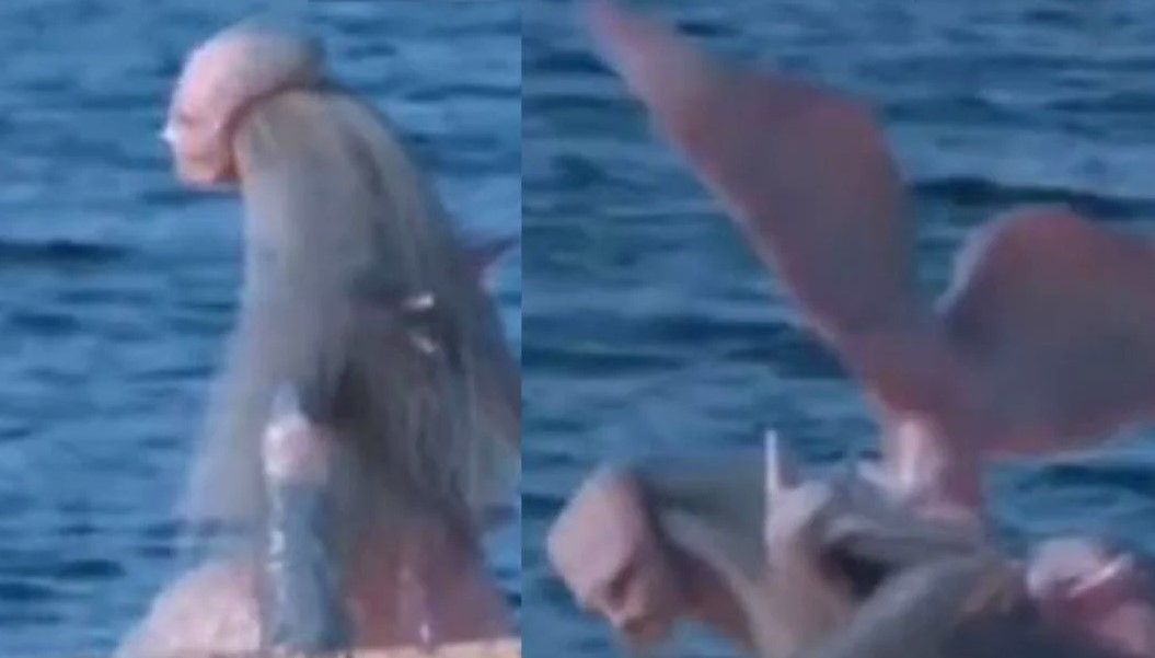 La extraña criatura marina que apareció en el mar y sorprendió a todos en TikTok (video)