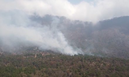 Arteaga está cerca de salvarse; incendio en Santiago Nuevo León está controlado al 90 por ciento