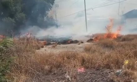 Incendios en terrenos baldíos se convirtieron en una ‘plaga’ en Saltillo