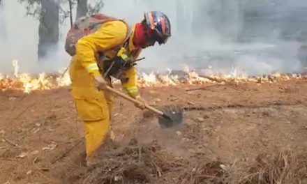 Arteaga ya lleva 4 multas por prender fuego