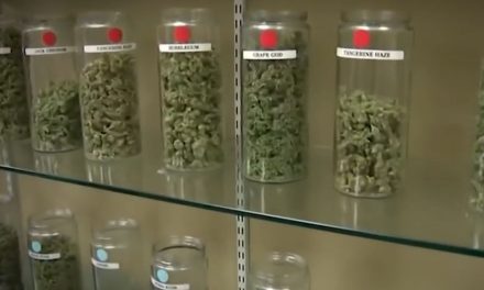 Más de 150 buscan permiso para fumar marihuana: COFEPRIS en Coahuila