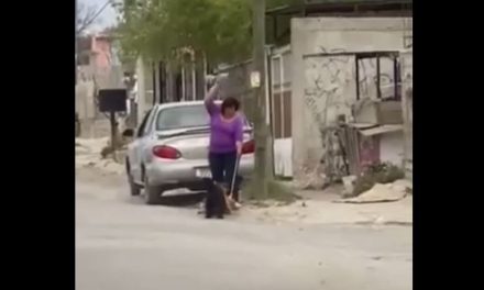 Imágenes fuertes: Mujer con esquizofrenia mata a pedradas a un perro en Acuña
