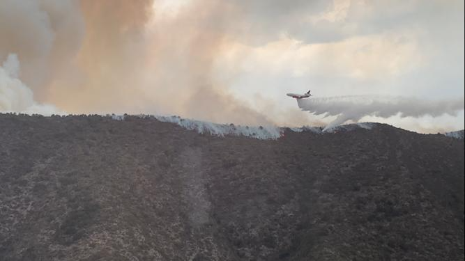 ‘Estamos haciendo todos los esfuerzos’: Chema Fraustro sobre incendio en Cañón de San Lorenzo