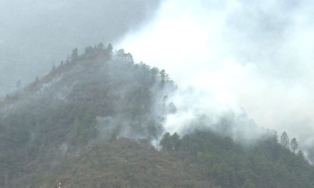 Más de mil 980 hectáreas han sido afectadas en incendios forestales de Coahuila