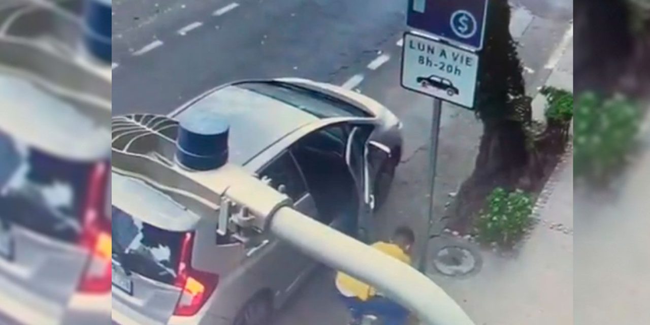 VIDEO: Captan como un conductor abandona perrito en plena calle