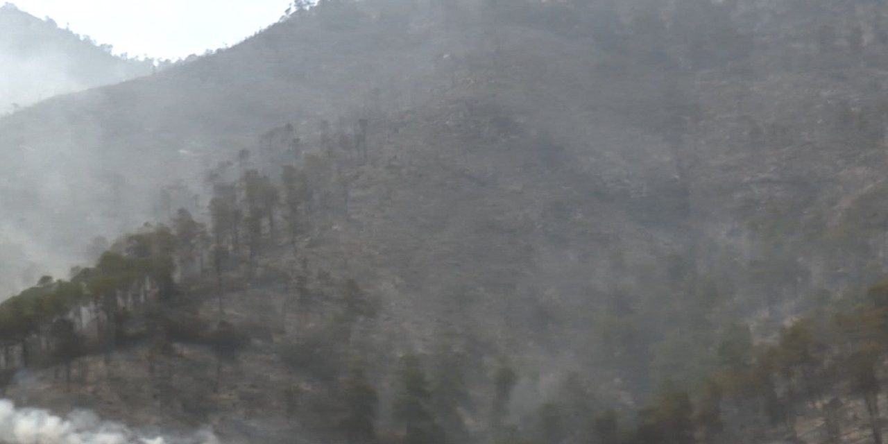 Siguen dos incendios forestales activos en Coahuila