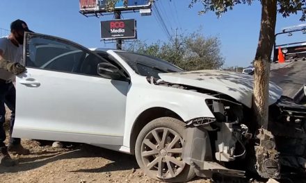 Conductora choca y derriba árboles en la Saltillo-Monterrey