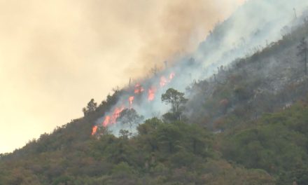 Mantienen vigilancia en Cañón de San Lorenzo; incendio está casi liquidado