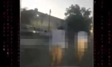 Cártel de Sinaloa obliga a personas a caminar desnudos por traicionarlos (video)