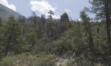 Controlan incendio en La Escondida en Arteaga