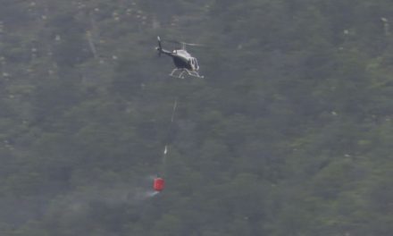 Sin apoyo federal hacen frente a incendios en Arteaga