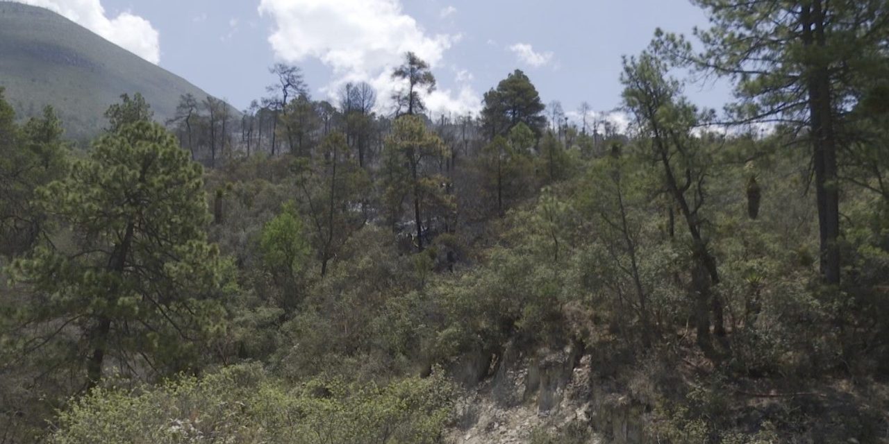 Arteaga: Incendio en La Escondida pudo ser provocado