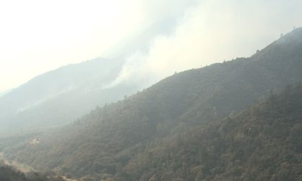 En Coahuila, se han registrado 32 incendios forestales en 2022