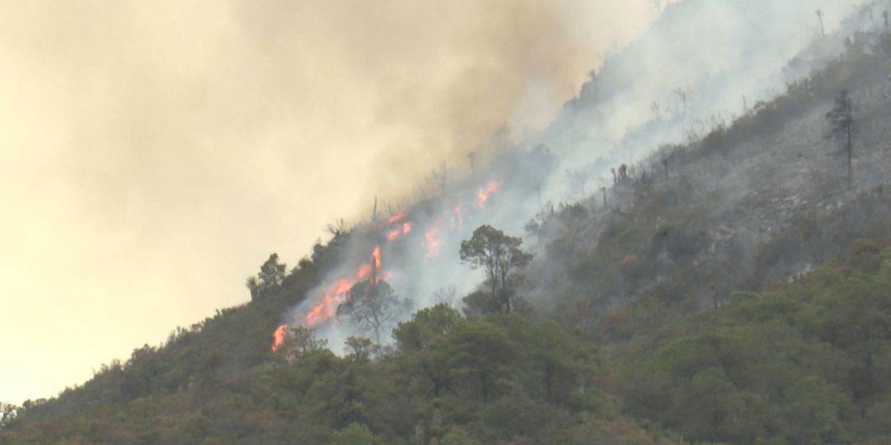 Hasta el momento hay tres incendios forestales activos en Coahuila