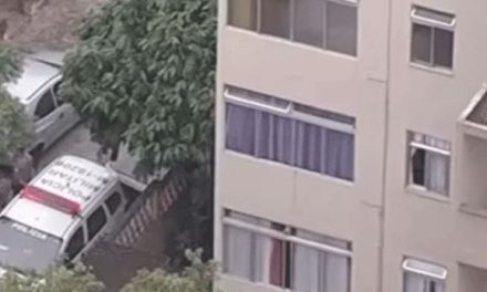 Mujer asesina a acosador sexual con movimiento de Jiu Jitsu