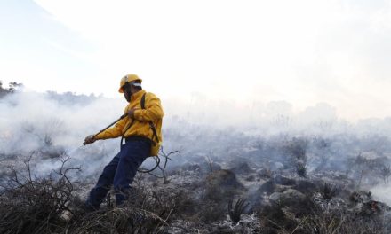 Gobierno de Saltillo abre centros de acopio para héroes forestales