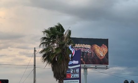 Fuertes vientos dejan árboles derribados y lonas dañadas en diversos puntos de Saltillo