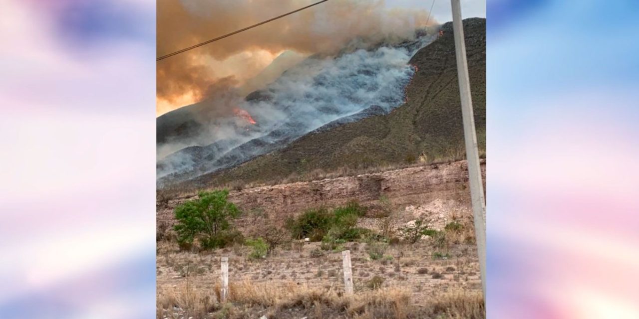 Más de 200 hectáreas afectadas tras incendio en La Muralla