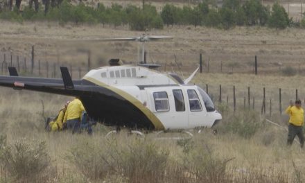 Reportan cinco brigadistas lesionados en el combate de los incendios