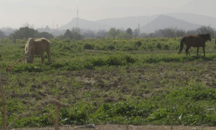 Abandona gobierno federal a Coahuila