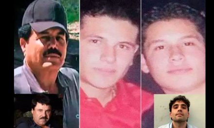 Hijos de ‘El Chapo’ y el ‘Mayo Zambada’ pierden 48 narcolaboratorios a manos de militares