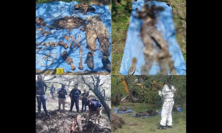 Fosa entre Jalisco y Michoacán tendría restos de hasta 200 desaparecidos