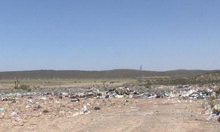 Tiradero a cielo abierto pone en peligro flora y fauna de General Cepeda