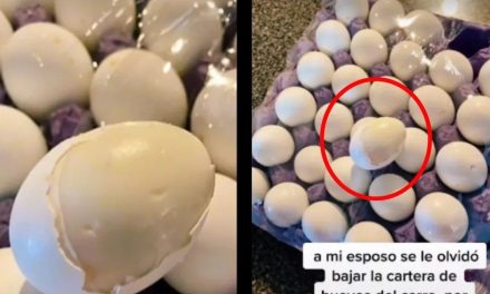 Calor nivel: Olvida los huevos en el carro y terminan cocidos en Mexicali