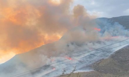 Incendios forestales no dan tregua, controlan dos, pero inician tres más