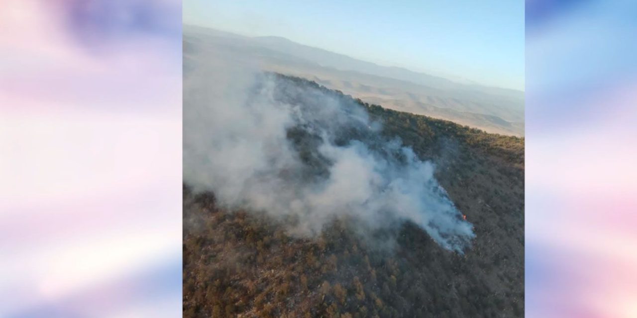 Arteaga combate incendio forestal en Las Esperanzas