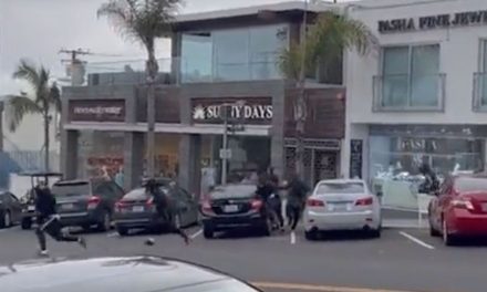 11 ladrones vacían joyería a plena luz del día (video)