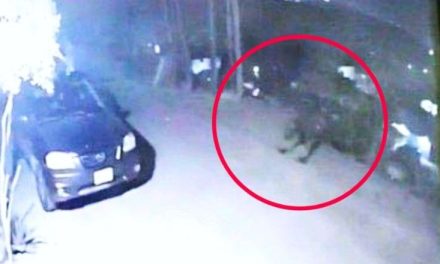 Así fue el nahual que captaron en Tijuana (video)