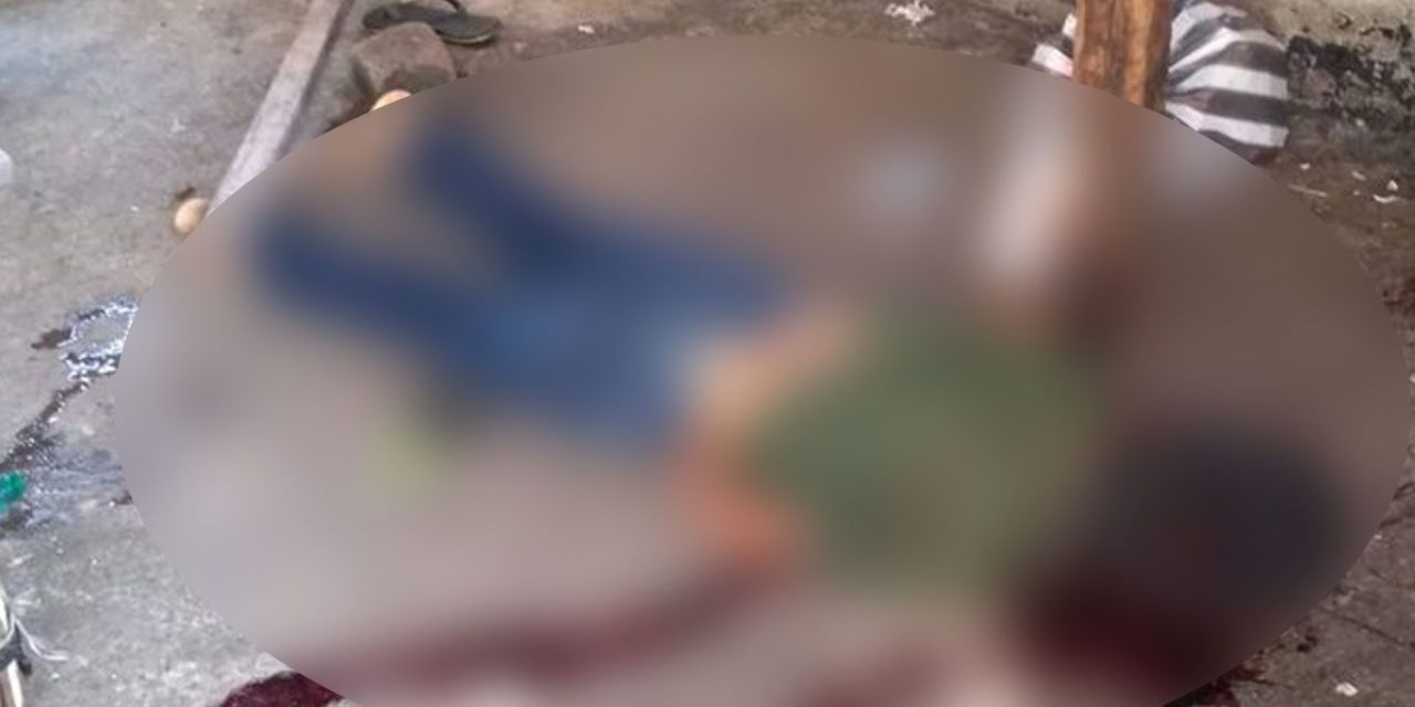 Ejecutan a niño de 10 años junto a su perrito en Guanajuato
