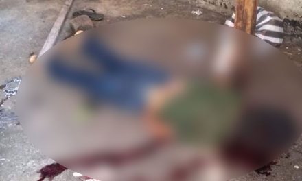 Ejecutan a niño de 10 años junto a su perrito en Guanajuato