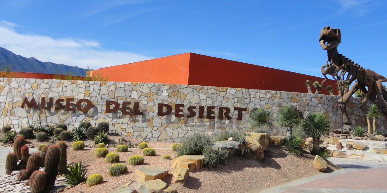 Tendrá Museo del Desierto noche de linternas