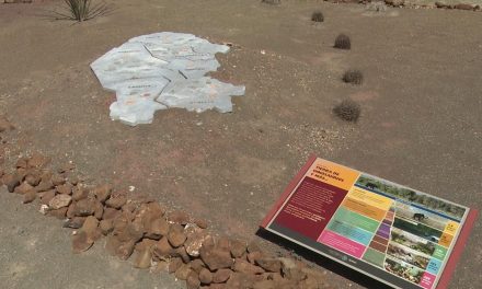 Buscan dar realce a la zona paleontológica en Coahuila
