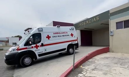 Saltillo: Le cae puerta encima a pequeñito de la colonia Valle de las Aves