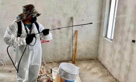 Intensifican acciones contra la rickettsiosis en Saltillo