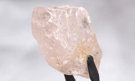 Su tamaño rompe récord: hallan el diamante rosa más grande en 300 años