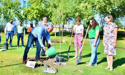 ¡Planta y Cuida!: Inicia en Torreón campaña de reforestación
