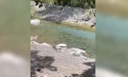 Supuesta ‘mina de oro’ que encontró Samuel García es un arroyo y no un río