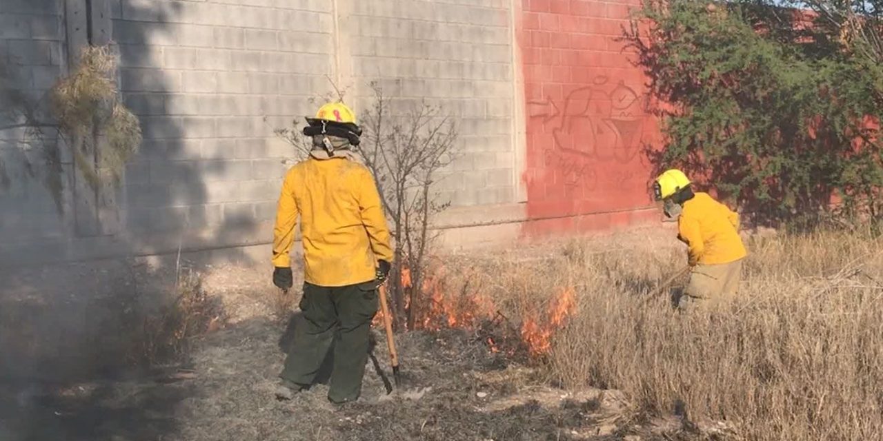 Saltillo: Se incendia baldío en V. Carranza