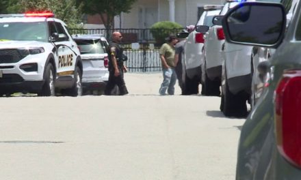 Madre olvida a bebé de 11 meses dentro de auto y muere por golpe de calor