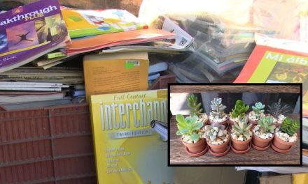 Regalan plantas suculentas por donar útiles escolares en Bosque Urbano