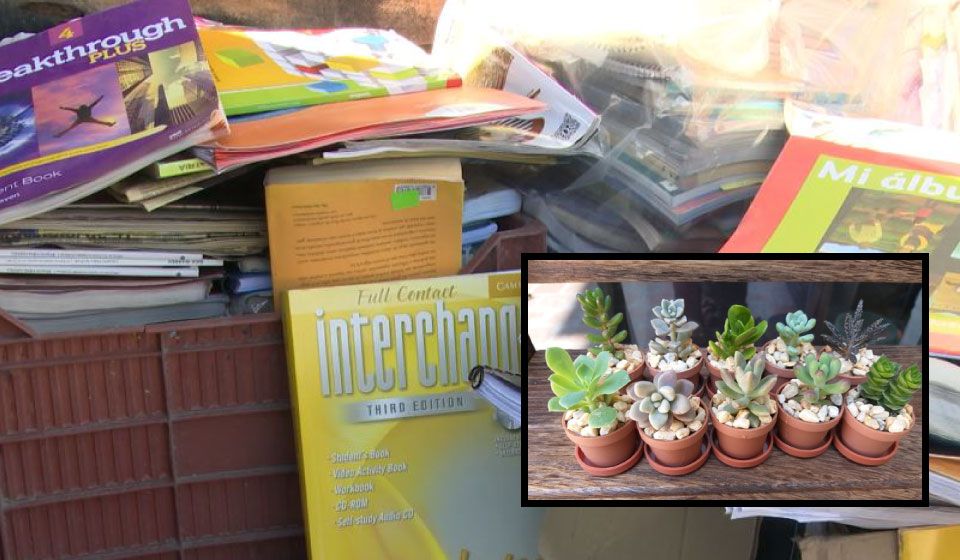 Regalan plantas suculentas por donar útiles escolares en Bosque Urbano
