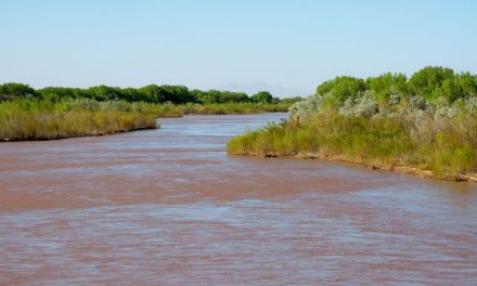 Niño de apenas 11 años desaparece en Piedras Negras; fue arrastrado por la corriente del Río Bravo