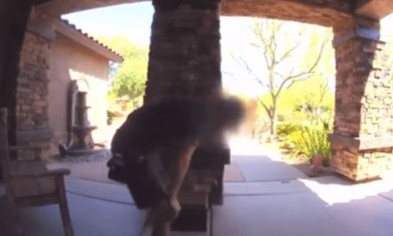 Colapsa repartidor a la puerta de un cliente por calor extremo (video)