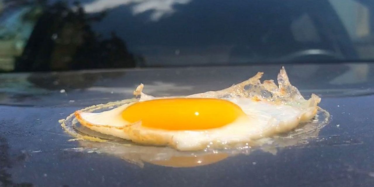 Temperaturas extremas: Hasta un huevo puedes freír en un auto con el calor en Sonora